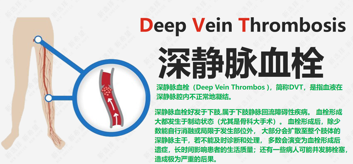 詩和遠(yuǎn)方 讓健康與靈魂共享
