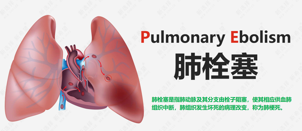 詩和遠(yuǎn)方 讓健康與靈魂共享