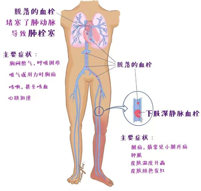 詩和遠(yuǎn)方 讓健康與靈魂共享