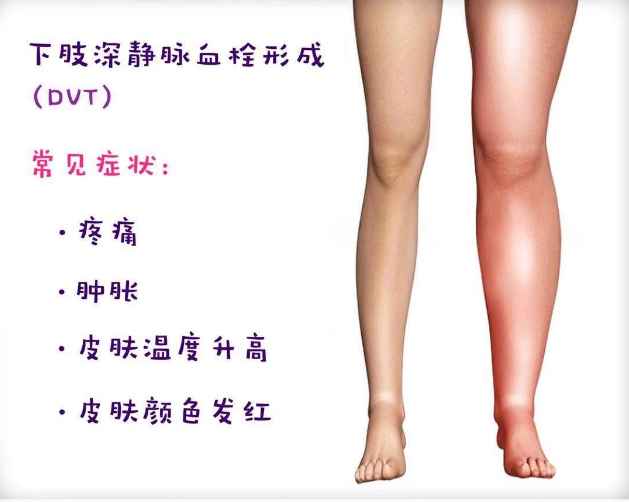 詩和遠(yuǎn)方 讓健康與靈魂共享