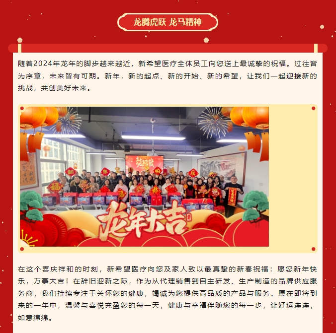 龍嘯新春，共赴新程